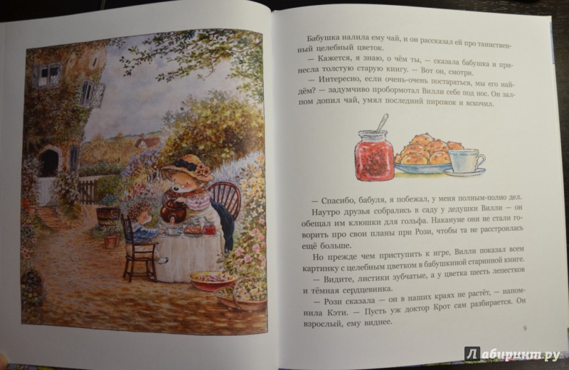Иллюстрация 17 из 37 для Заколдованная долина - Патерсон, Патерсон | Лабиринт - книги. Источник: sweetness