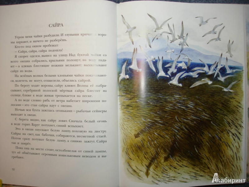 Иллюстрация 15 из 58 для Рассказы о природе, о птицах зверях и разных краях - Геннадий Снегирев | Лабиринт - книги. Источник: Сорокина  Лариса