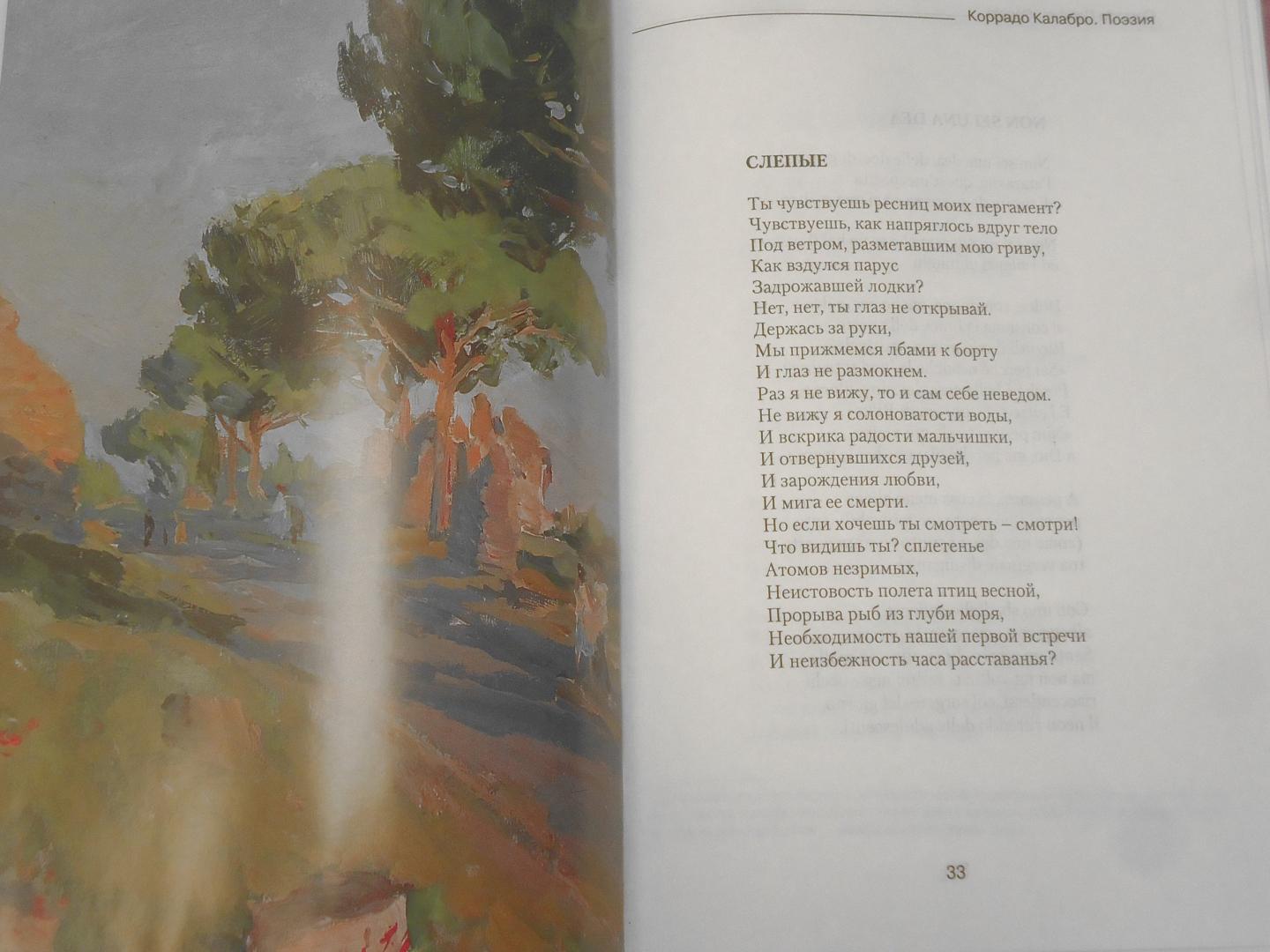 Иллюстрация 30 из 46 для Поэзия=Poesie - Коррадо Калабро | Лабиринт - книги. Источник: Затерянная