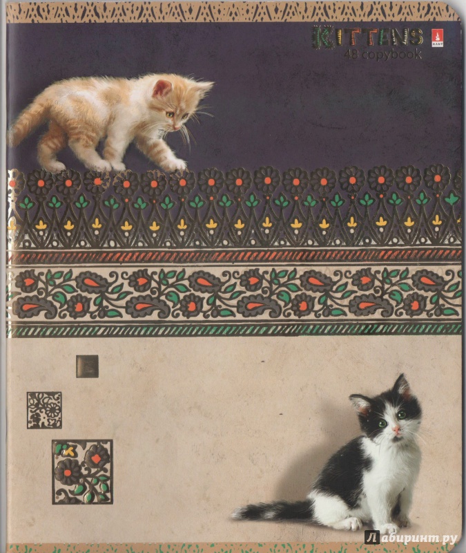 Иллюстрация 2 из 6 для Тетрадь Кошки-мышки, А5+, 48 листов, клетка, в ассортименте | Лабиринт - канцтовы. Источник: Lustralis