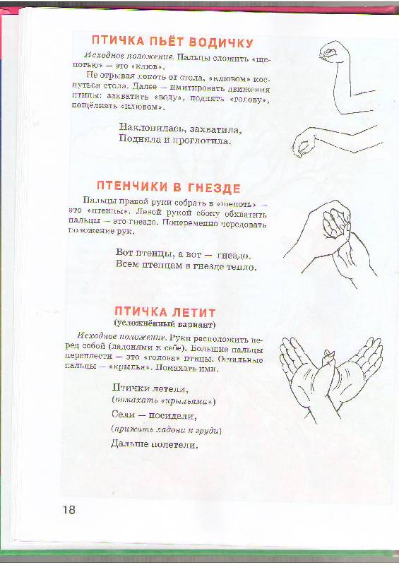 Иллюстрация 9 из 17 для Гимнастика для пальчиков. Развиваем моторику - Елена Косинова | Лабиринт - книги. Источник: magnolia