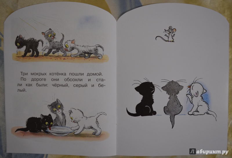 Котенок том читать. Сутеев 3 котенка. Книга Сутеев три котенка.