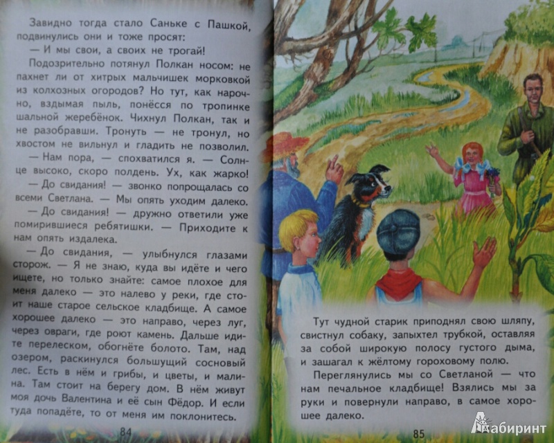 Иллюстрация 31 из 35 для Рассказы и сказки - Аркадий Гайдар | Лабиринт - книги. Источник: NDusha