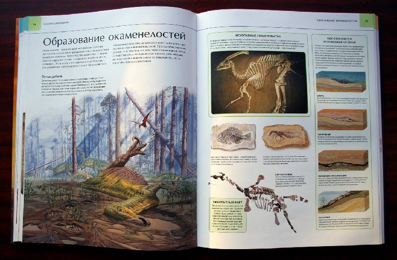 Иллюстрация 96 из 109 для Динозавры. Иллюстрированный атлас - Майкл Бретт-Шуман | Лабиринт - книги. Источник: Валерия