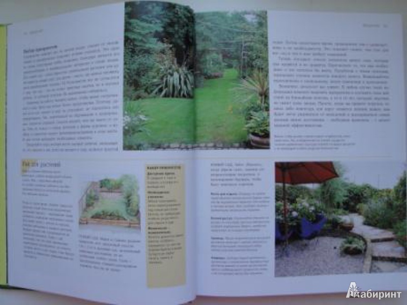 Иллюстрация 5 из 30 для Дивный сад без лишних хлопот | Лабиринт - книги. Источник: karina_pavlovna