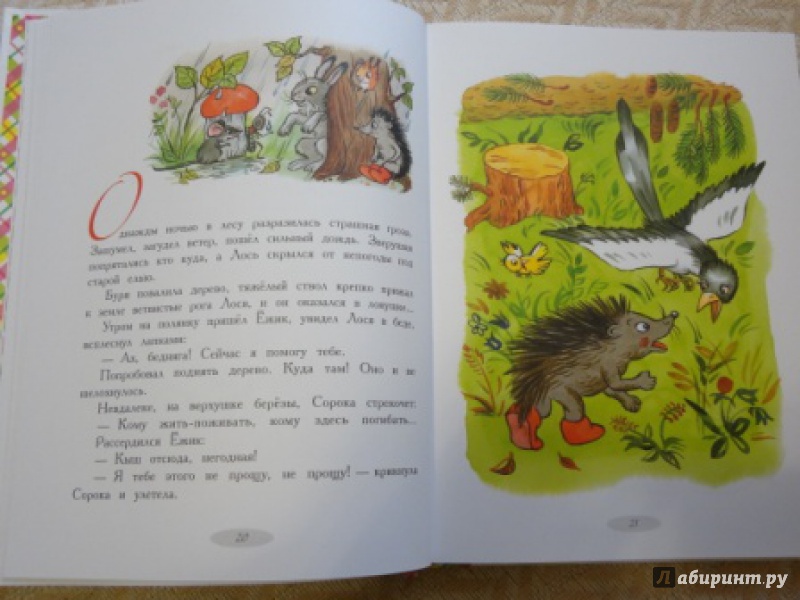 Иллюстрация 23 из 43 для Сказки-мультфильмы - Владимир Сутеев | Лабиринт - книги. Источник: tanchick48