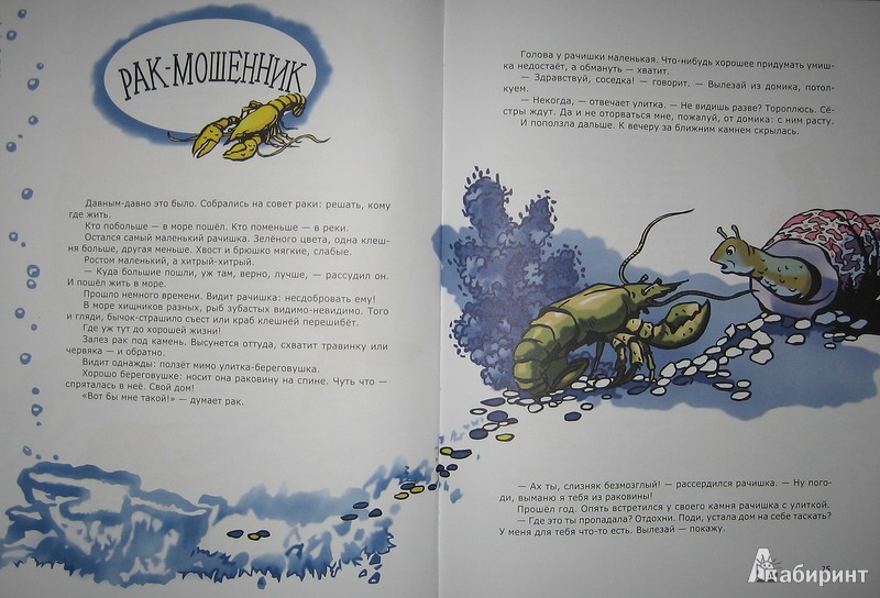 Иллюстрация 10 из 51 для Морские сказки - Святослав Сахарнов | Лабиринт - книги. Источник: Трухина Ирина