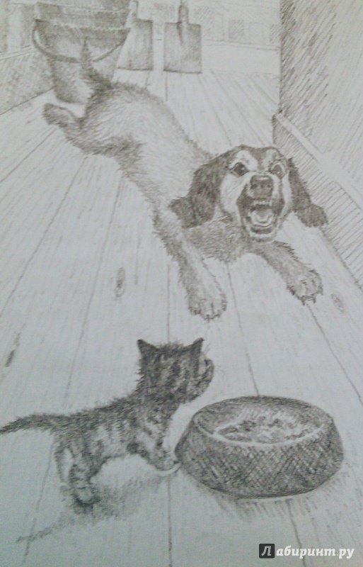 Иллюстрация 58 из 81 для Котёнок Пушинка, или Рождественское чудо - Холли Вебб | Лабиринт - книги. Источник: Лабиринт