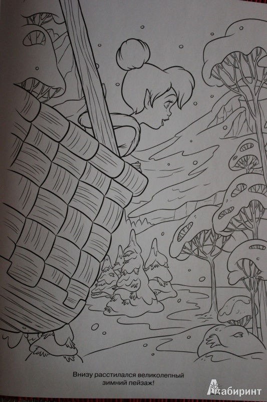 Иллюстрация 4 из 6 для Волшебная раскраска. Феи: Тайна Зимнего Леса (№1379) | Лабиринт - книги. Источник: Глушко  Александр