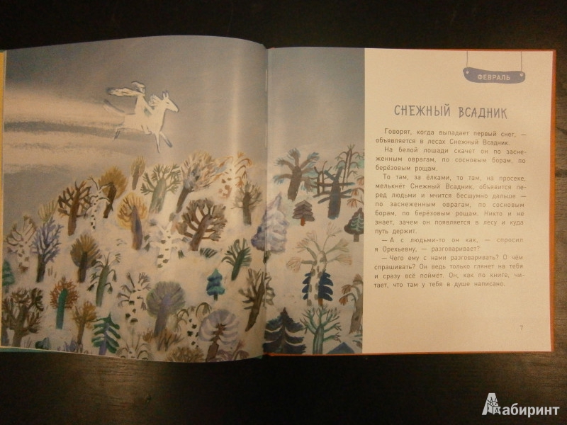 Иллюстрация 4 из 31 для Круглый год (+DVD) - Юрий Коваль | Лабиринт - книги. Источник: Maxima