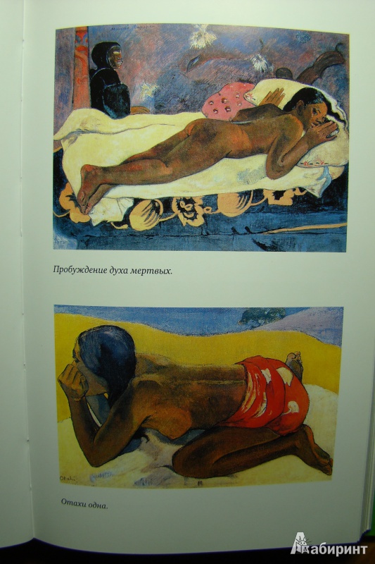 Иллюстрация 11 из 27 для Жизнь Гогена - Анри Перрюшо | Лабиринт - книги. Источник: Яга