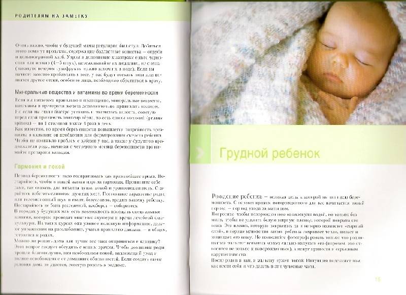 Иллюстрация 22 из 22 для Детские болезни. Классический справочник для родителей - Херман Штельман | Лабиринт - книги. Источник: khab