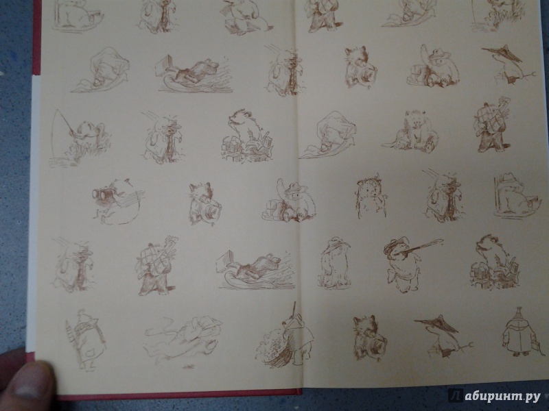 Иллюстрация 17 из 36 для Медвежонок Паддингтон сдает экзамен - Майкл Бонд | Лабиринт - книги. Источник: Olga