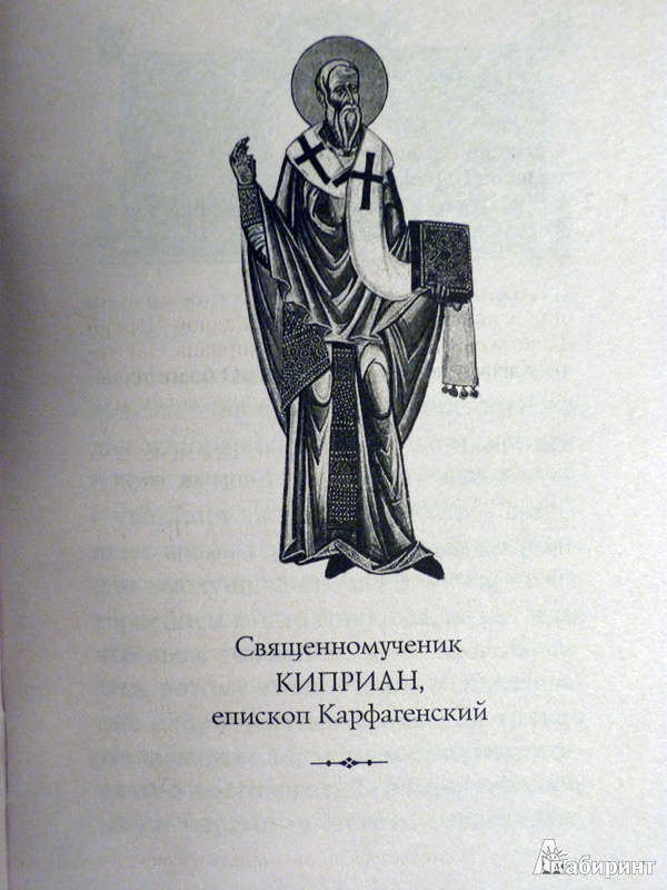 Иллюстрация 11 из 15 для О благе терпения - Киприан Священномученик | Лабиринт - книги. Источник: ***Лариса***