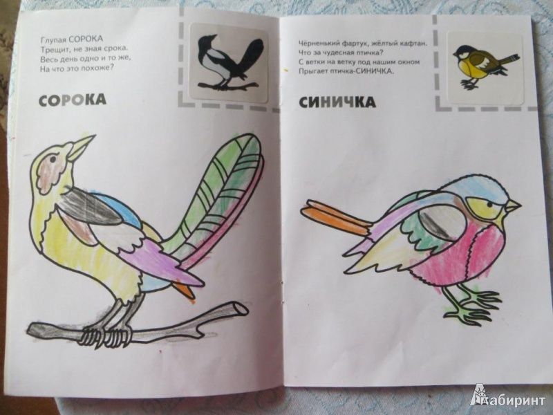 Иллюстрация 2 из 10 для Назови, раскрась, наклей: Птицы - Бурмистрова, Мороз | Лабиринт - книги. Источник: Ko-ren