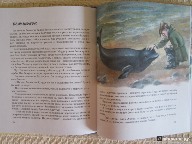 Иллюстрация 13 из 26 для Морские сапоги - Андрей Некрасов | Лабиринт - книги. Источник: ЮлияО