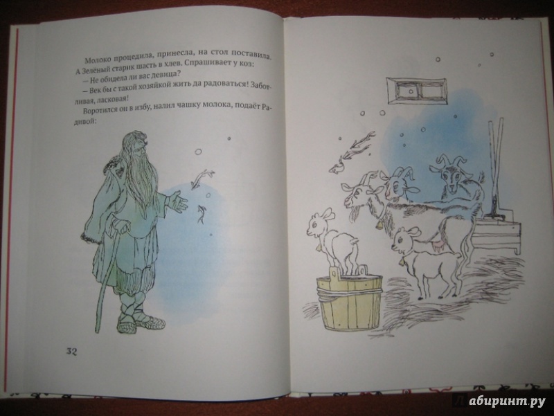 Иллюстрация 40 из 69 для Хороший порядок - Александр Нечаев | Лабиринт - книги. Источник: Никoль