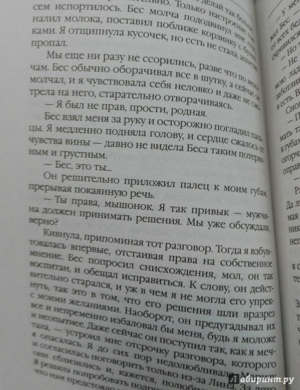 Иллюстрация 43 из 48 для Игра стихий - Эльвира Плотникова | Лабиринт - книги. Источник: Сафиулина  Юлия