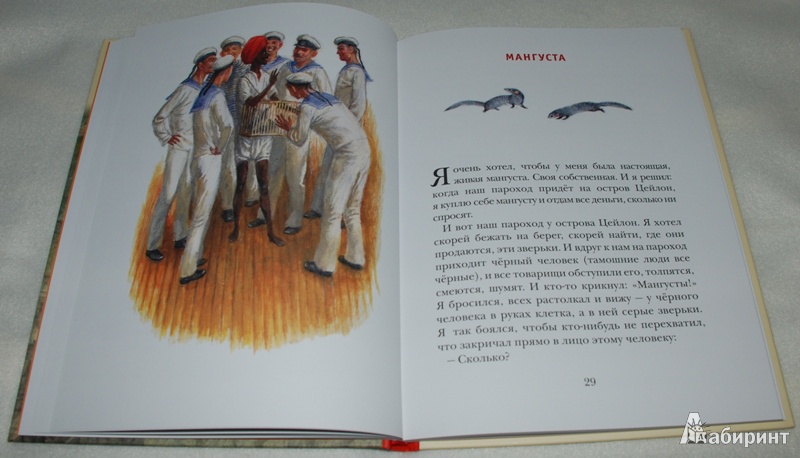 Иллюстрация 10 из 17 для Рассказы о животных - Борис Житков | Лабиринт - книги. Источник: Книжный кот