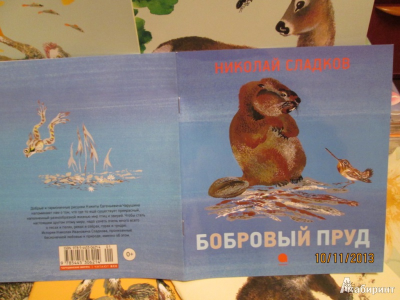 Иллюстрация 2 из 25 для Бобровый пруд - Николай Сладков | Лабиринт - книги. Источник: Алонсо Кихано