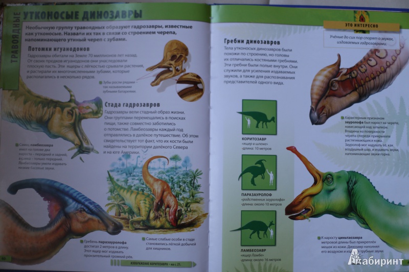 Иллюстрация 18 из 22 для Мир динозавров - Барбара Маевская | Лабиринт - книги. Источник: Гурова  Ксения