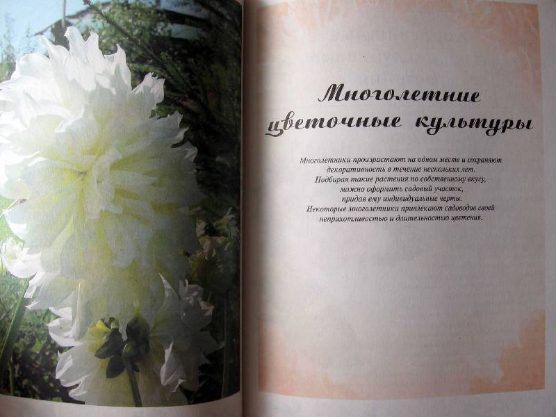 Иллюстрация 13 из 20 для Любимые цветы - Ганичкина, Ганичкин | Лабиринт - книги. Источник: Red cat ;)