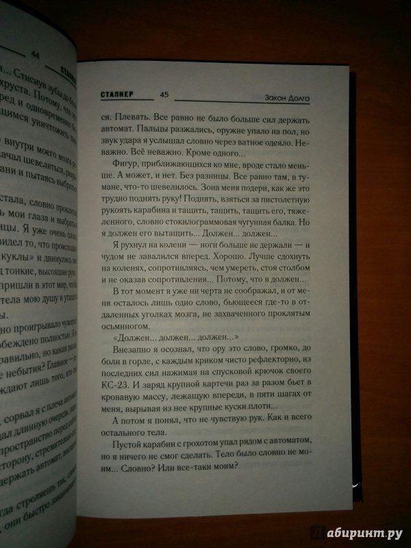 Иллюстрация 22 из 42 для Закон долга - Дмитрий Силлов | Лабиринт - книги. Источник: Annexiss