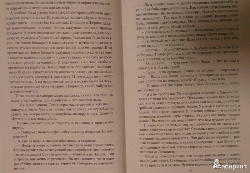 Иллюстрация 4 из 17 для Дом на перекрестке. Резиденция феи - Милена Завойчинская | Лабиринт - книги. Источник: Katty