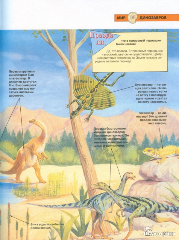 Иллюстрация 6 из 12 для Динозавры | Лабиринт - книги. Источник: Телицына  Ольга