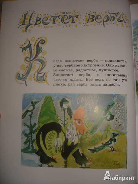 Иллюстрация 66 из 73 для Бабочки - Юрий Коваль | Лабиринт - книги. Источник: Осьминожка
