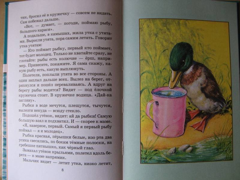 Иллюстрация 9 из 22 для Беспризорная кошка - Борис Житков | Лабиринт - книги. Источник: Осень-рыжая подружка.
