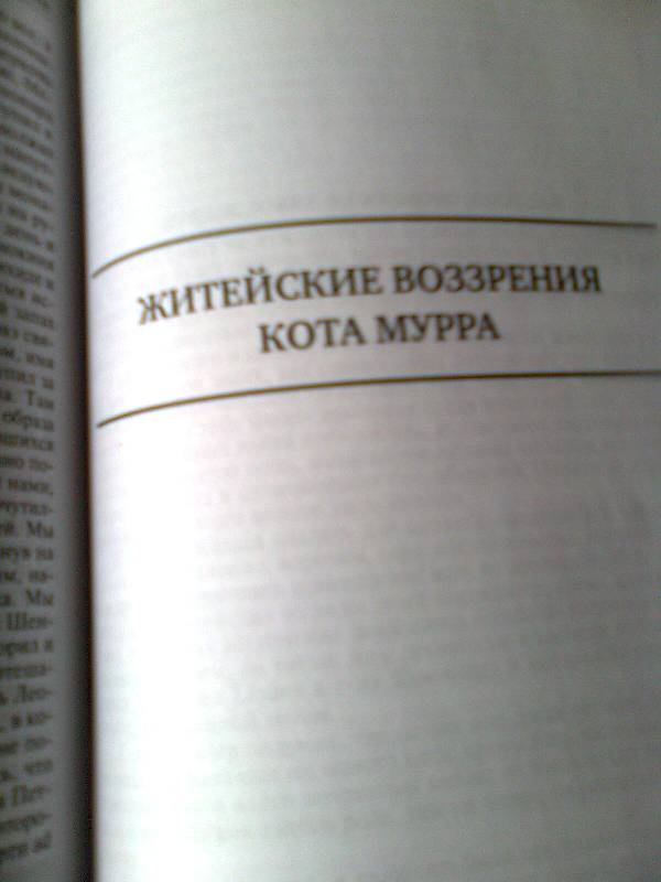 Иллюстрация 40 из 44 для Полное собрание сочинений в двух томах. Том 1 - Гофман Эрнст Теодор Амадей | Лабиринт - книги. Источник: Olga V