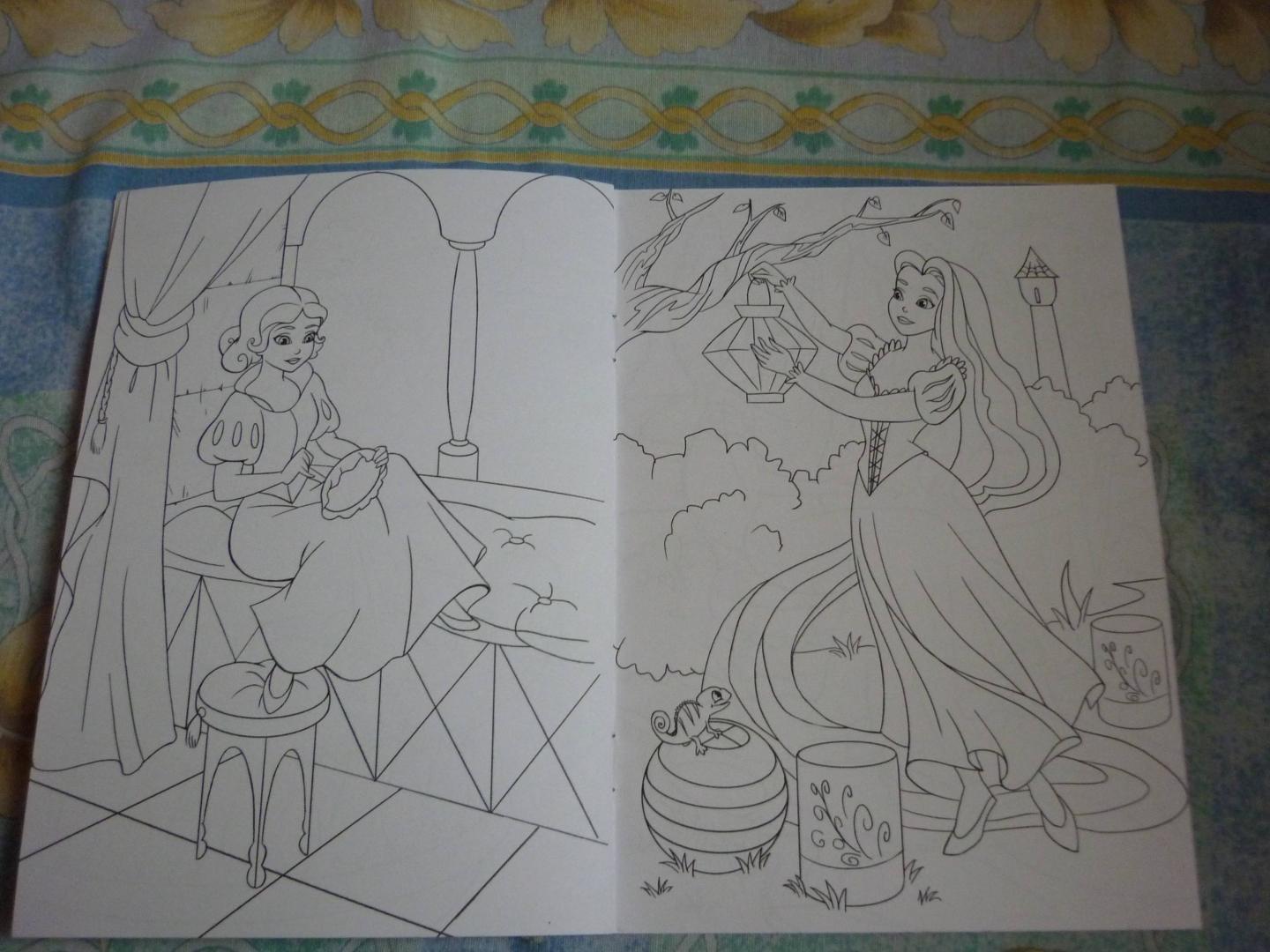 Иллюстрация 11 из 19 для Раскраска "Удивительные принцессы" | Лабиринт - книги. Источник: Лабиринт