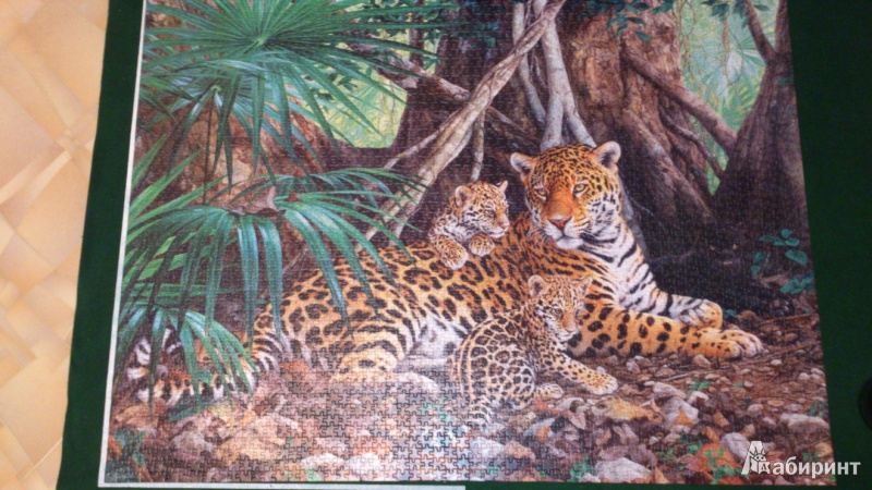 Иллюстрация 8 из 8 для Puzzle-3000 "Ягуары в джунглях" (С-300280) | Лабиринт - игрушки. Источник: ASHK