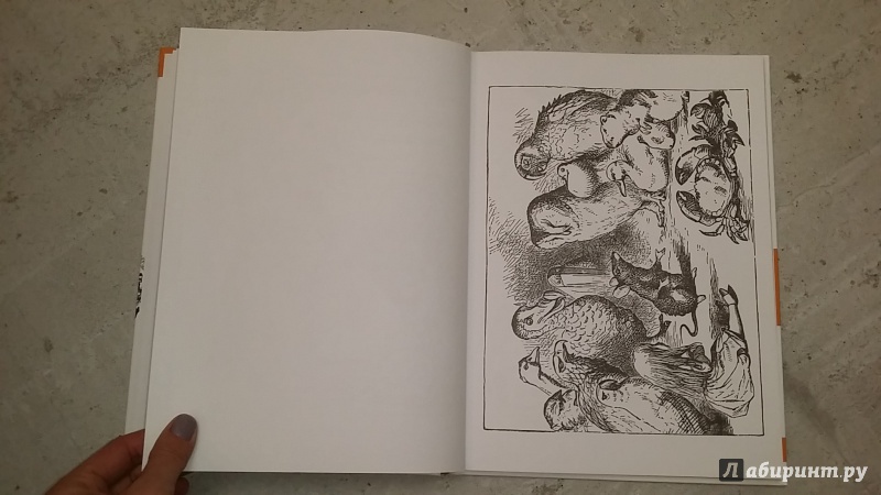 Иллюстрация 11 из 18 для Алиса Джона Тенниела. Раскраски, поднимающие настроение | Лабиринт - книги. Источник: Машкова Анна