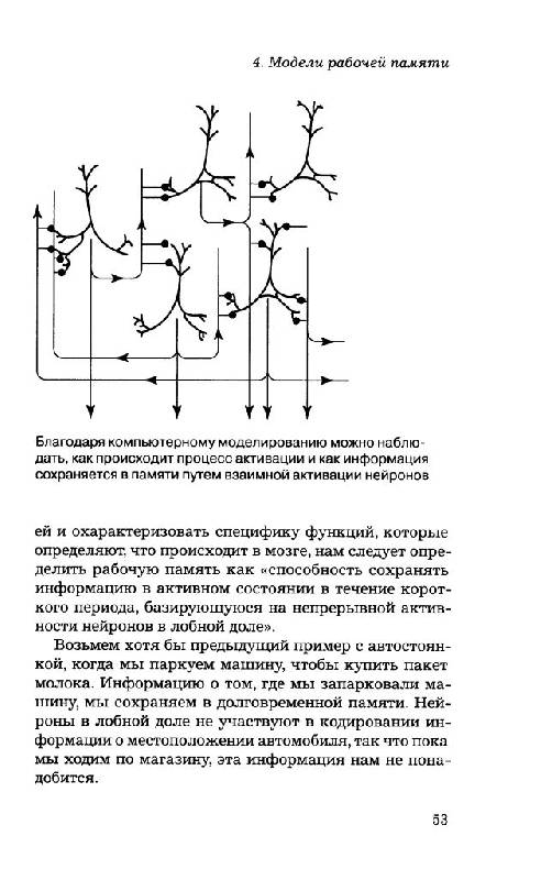Иллюстрация 12 из 16 для Перегруженный мозг. Информационный поток и пределы рабочей памяти - Торкель Клингберг | Лабиринт - книги. Источник: Юта