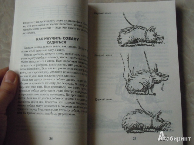 Иллюстрация 20 из 20 для Как жить с собакой-невротиком - Стивен Бейкер | Лабиринт - книги. Источник: Iwolga