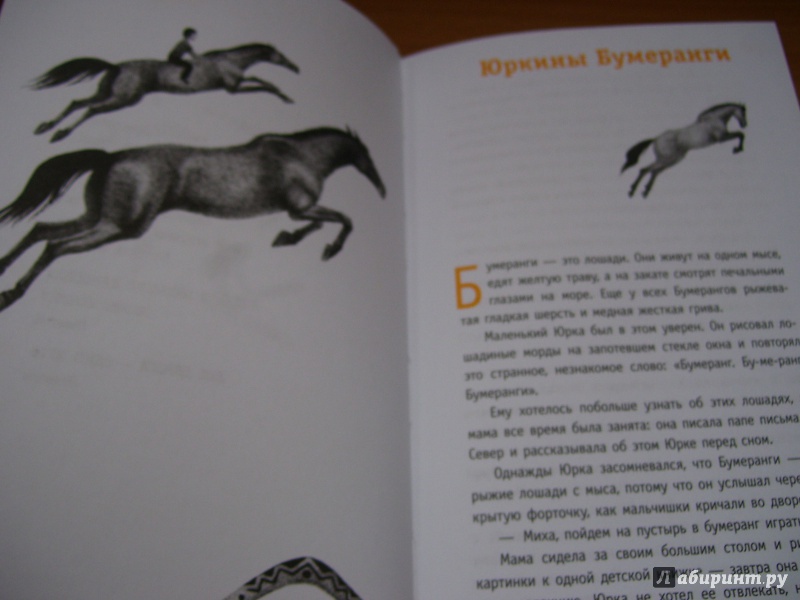 Иллюстрация 18 из 25 для Юркины Бумеранги - Тамара Михеева | Лабиринт - книги. Источник: КошкаПолосатая