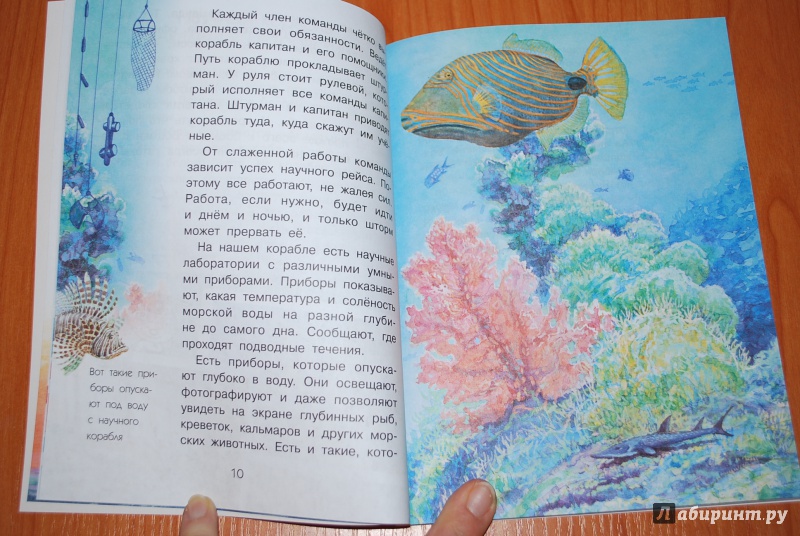 Иллюстрация 6 из 15 для Как увидеть морское дно? - Александр Тамбиев | Лабиринт - книги. Источник: Нади