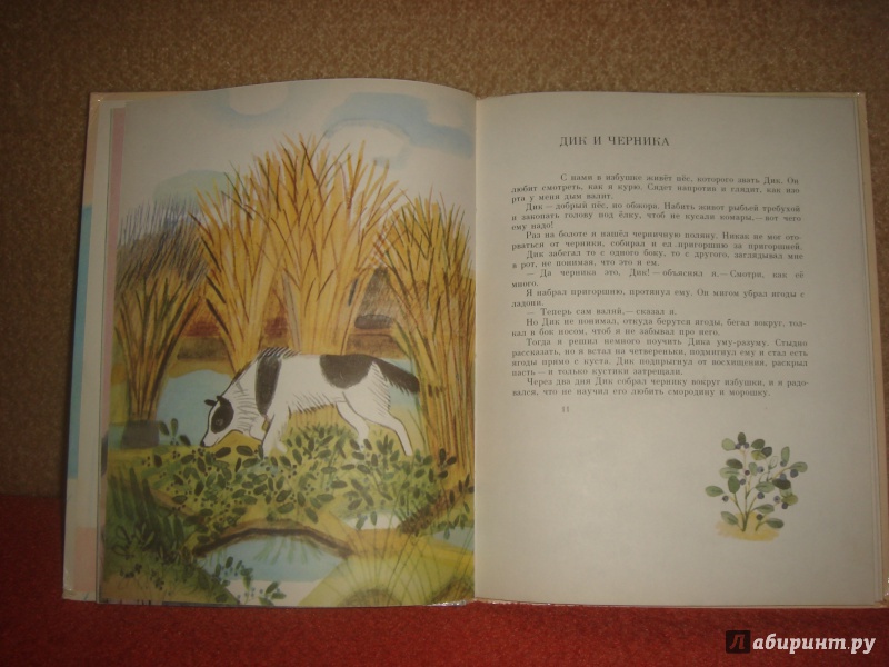 Иллюстрация 6 из 33 для Воробьиное озеро - Юрий Коваль | Лабиринт - книги. Источник: kuvarstvo