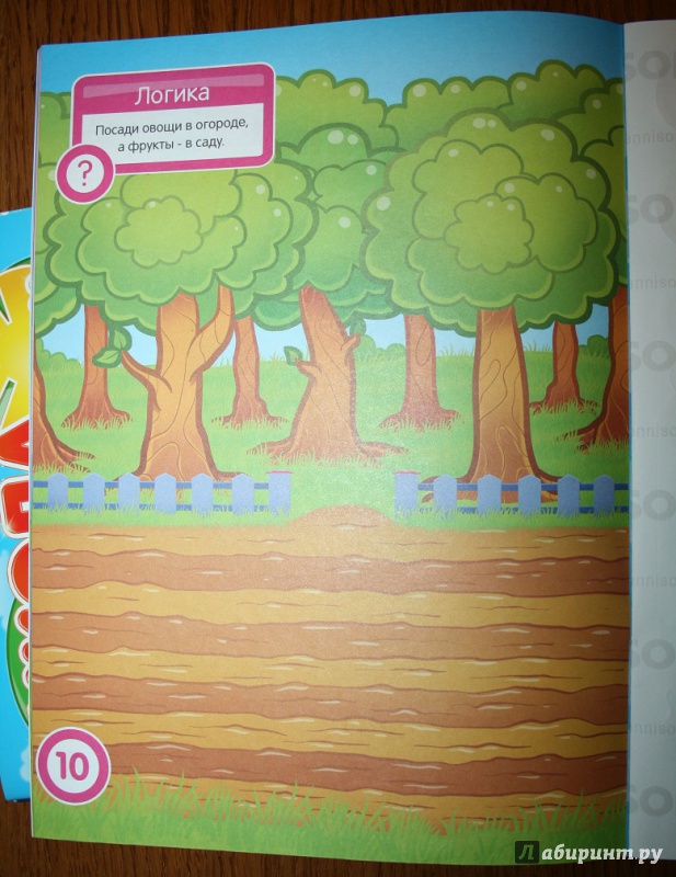 Иллюстрация 15 из 23 для Овощи и фрукты. Развивающая книга с наклейками для детей от 2 лет - С. Разин | Лабиринт - книги. Источник: Рудис  Александра