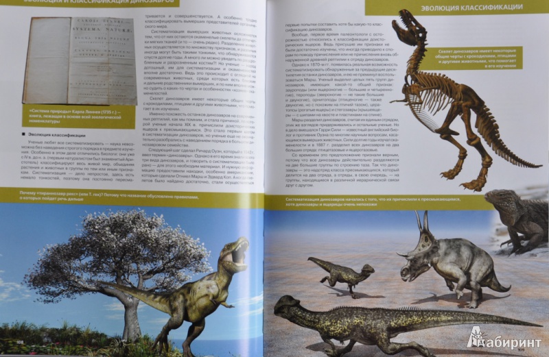 Иллюстрация 8 из 37 для Динозавры - Антон Малютин | Лабиринт - книги. Источник: NDusha