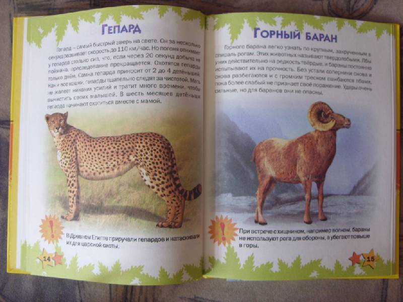Иллюстрация 33 из 51 для Атлас животных для малышей - Татьяна Комзалова | Лабиринт - книги. Источник: Золотая рыбка