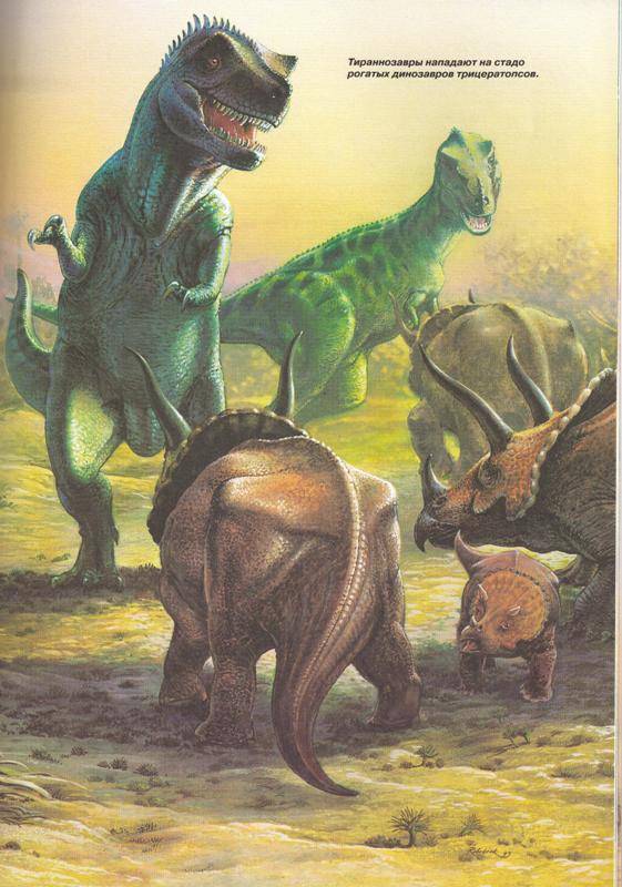 Иллюстрация 17 из 17 для Динозавры - Иоахим Опперман | Лабиринт - книги. Источник: In@