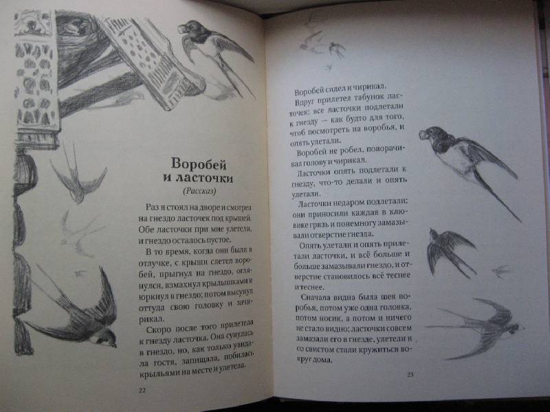 Иллюстрация 22 из 28 для Косточка - Лев Толстой | Лабиринт - книги. Источник: W