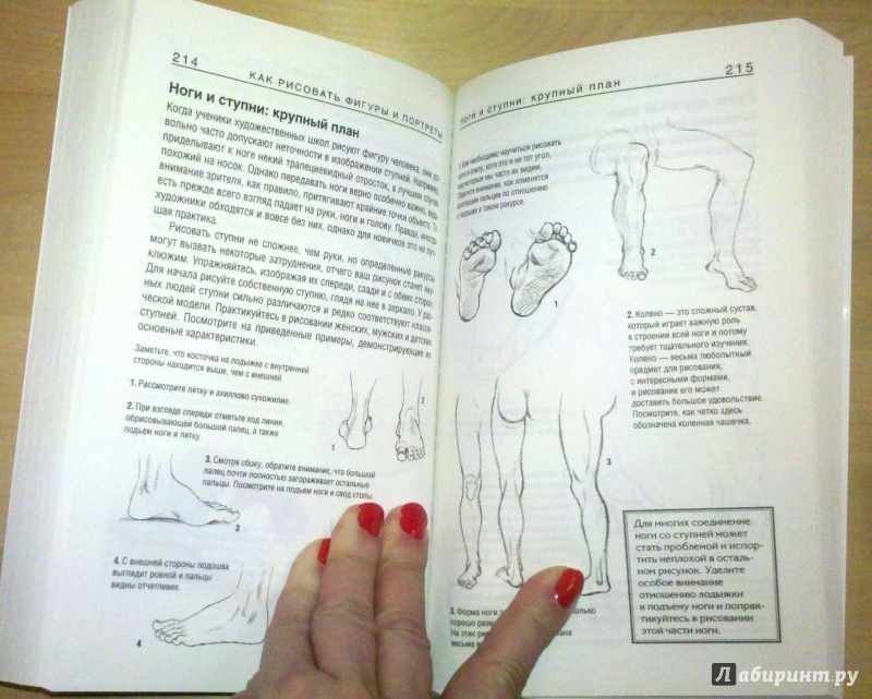 Иллюстрация 23 из 25 для Как нарисовать все что угодно - Баррингтон Барбер | Лабиринт - книги. Источник: Aske