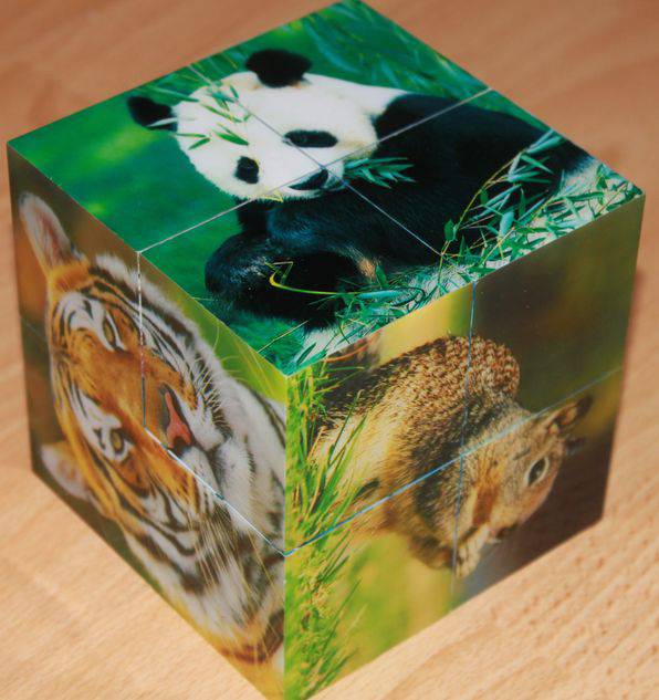 Иллюстрация 10 из 12 для Магнитные кубики-пазлы "Дикие животные" (8 кубиков, 12 пазлов) (14031) | Лабиринт - игрушки. Источник: Соколова  Екатерина