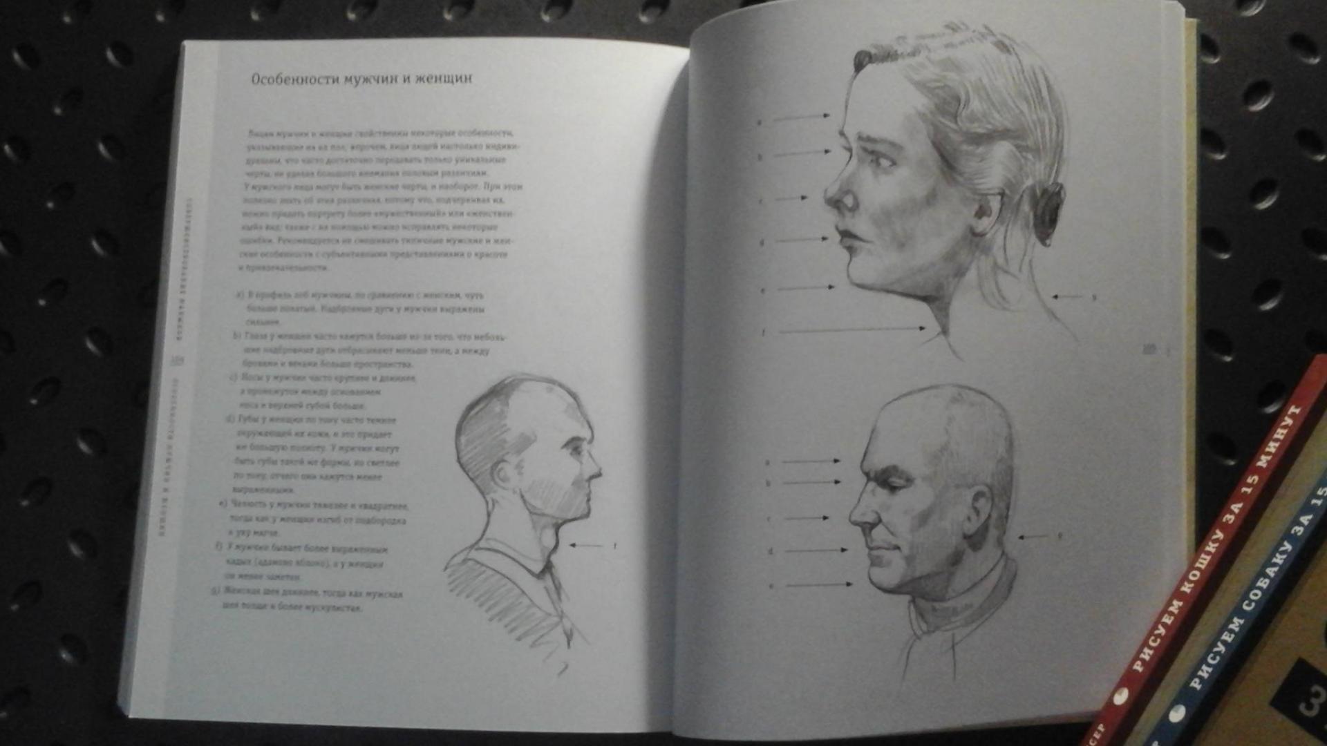 Иллюстрация 24 из 36 для Рисуем портрет за 15 минут - Джек Спайсер | Лабиринт - книги. Источник: ЛиС-а
