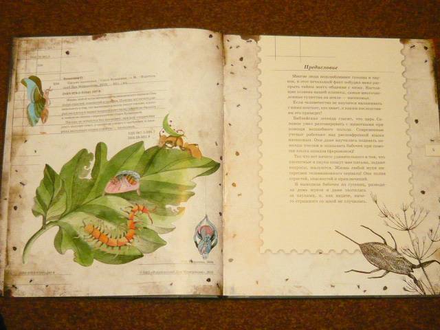 Иллюстрация 55 из 103 для Письма насекомых - Ольга Кувыкина | Лабиринт - книги. Источник: Ромашка:-)