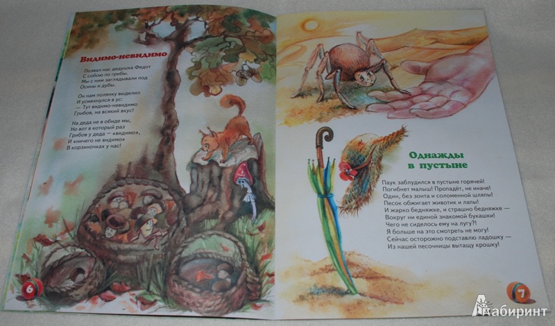 Иллюстрация 7 из 12 для Море для лягушки. Стихотворения - Наталья Карпова | Лабиринт - книги. Источник: Книжный кот